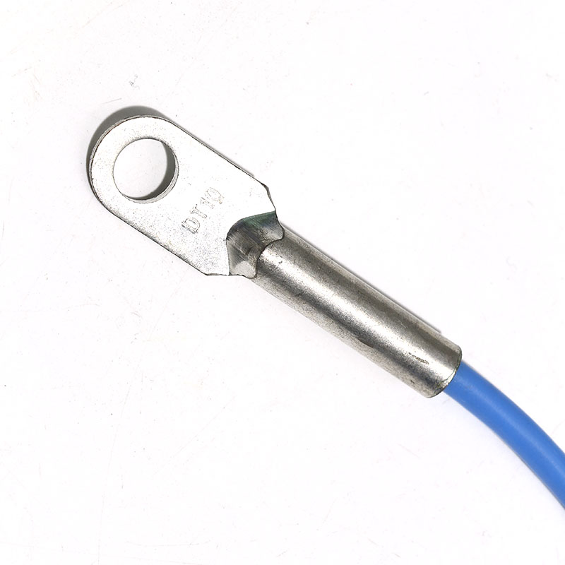 Ds18B20 - Sonde de capteur de température de